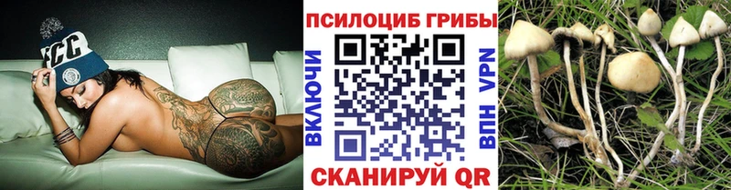Псилоцибиновые грибы MAGIC MUSHROOMS  Вятские Поляны 
