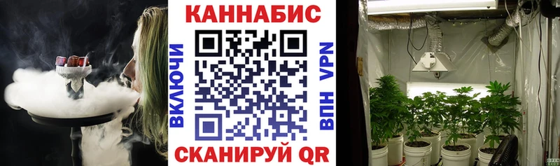 Шишки марихуана план  Вятские Поляны 