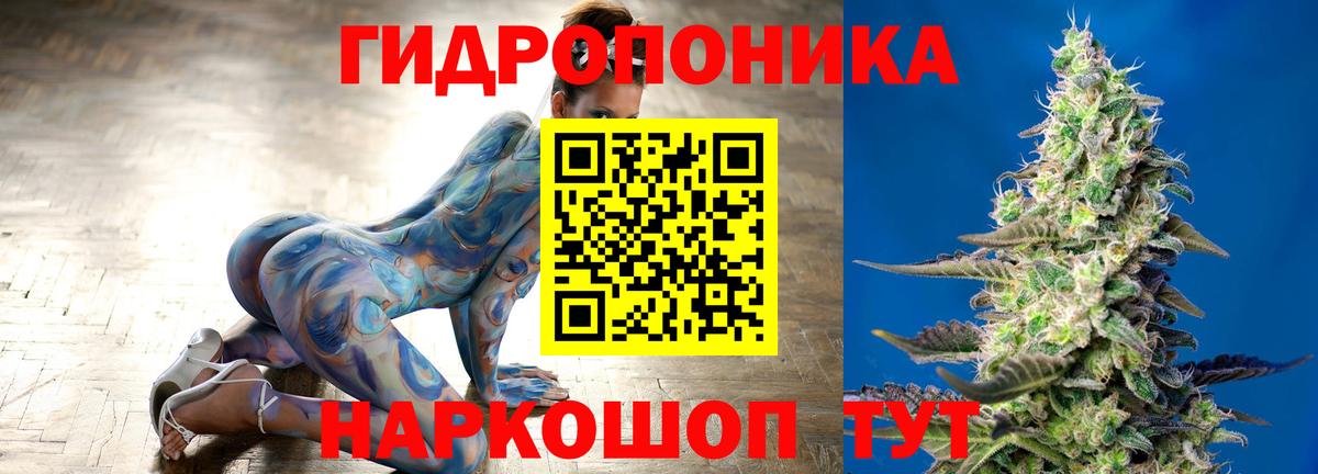 Шишки марихуана AK-47  Конопля AK-47  Вятские Поляны  Марихуана сатива  Вход с VPN  Канабис Ganja 